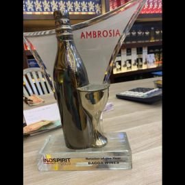 Retailer of the Year 2009